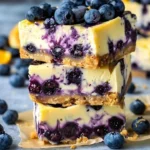 Blueberry Orange Cheesecake Bites served on a plate
